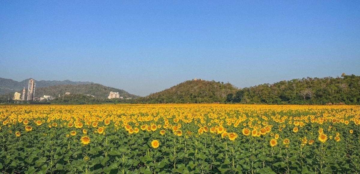 องค์การบริหารส่วนตำบลหินซ้อน